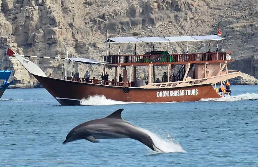 Khasab: Half-Day Dhow Cruise, Dolphin Watching, & Snorkeling - Key points to know before booking