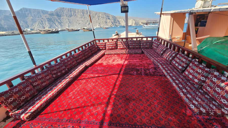 Khasab: Half-Day Dhow Cruise, Dolphin Watching, & Snorkeling - Who should book this dhow cruise