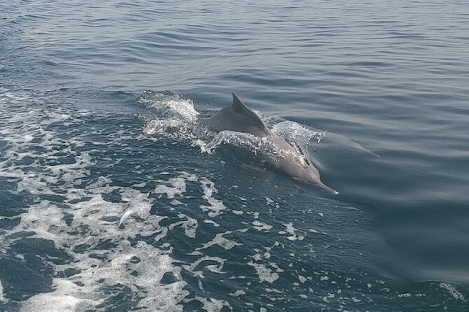 Khasab Musandam Full Day dhow cruise with lunch and Snorkeling - A simple Omani lunch served onboard