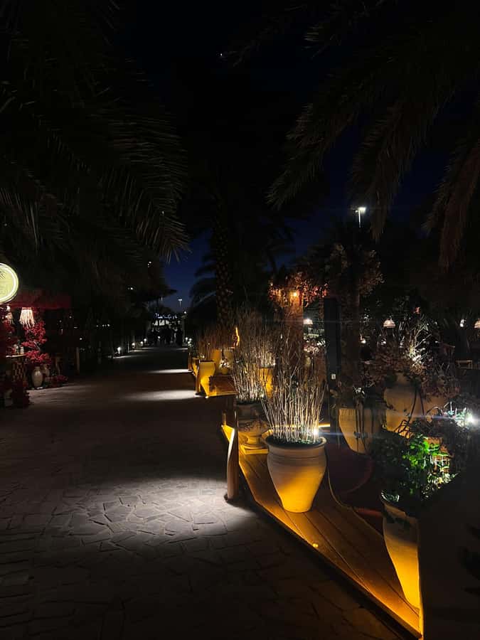 Madinah Culture & History Tour – Led by Local Guide - The farm stop brings the city closer