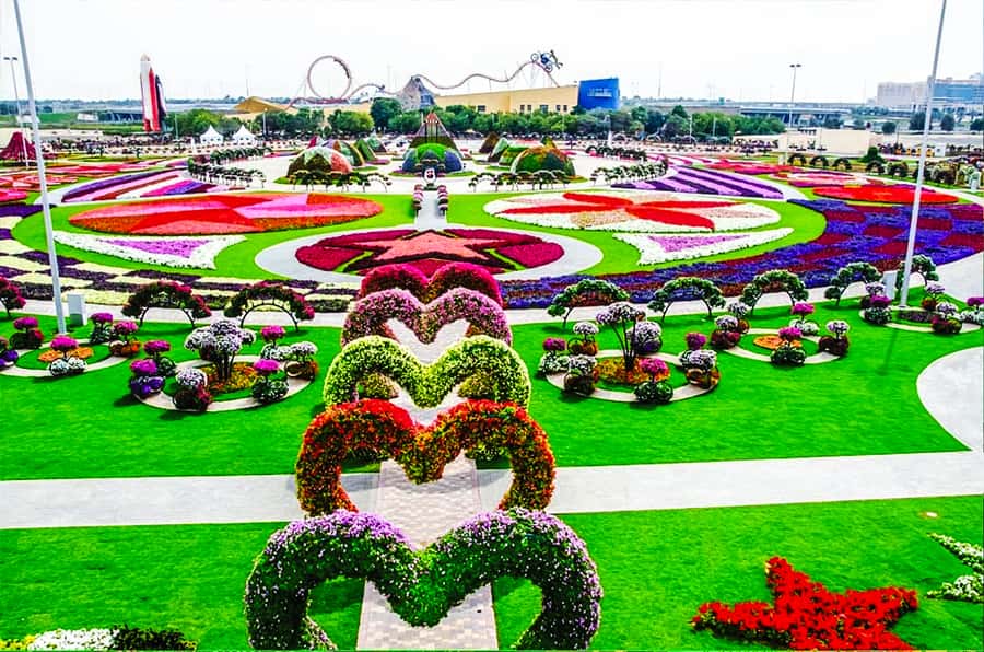 Miracle Flora & Fauna Marvels at Miracle Garden - Two gardens that break up Dubai’s concrete