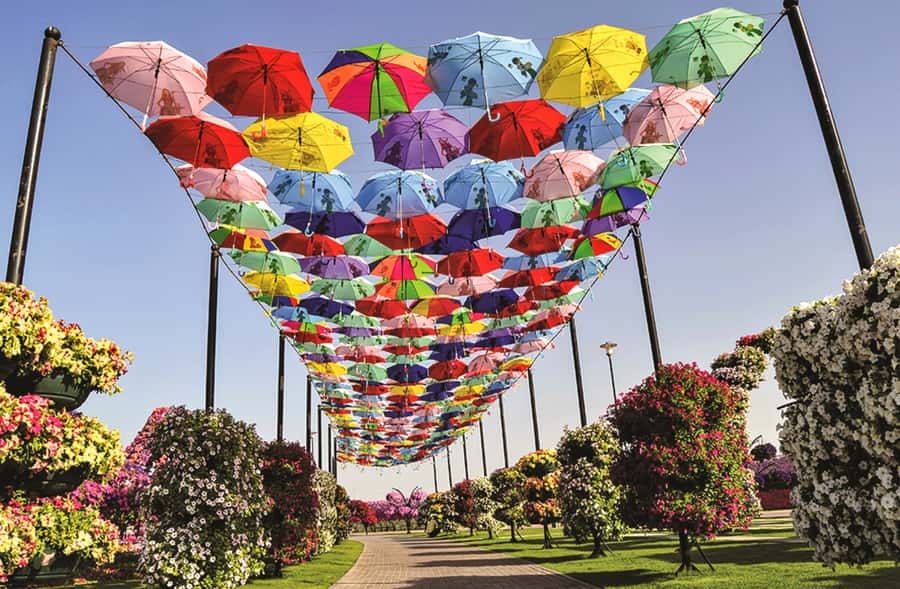 Miracle Flora & Fauna Marvels at Miracle Garden - A five-minute walk to Miracle Garden