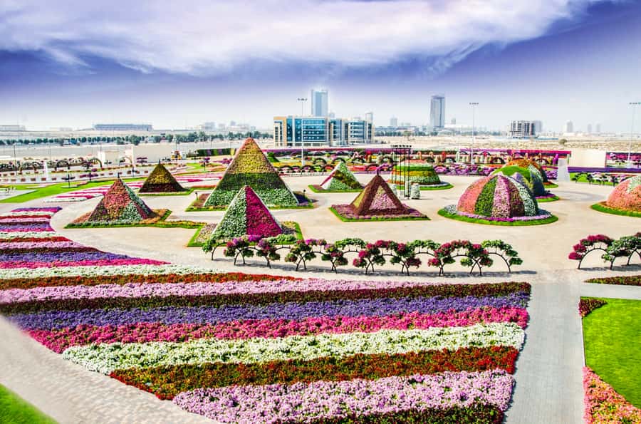 Miracle Flora & Fauna Marvels at Miracle Garden - How much time will you really have?