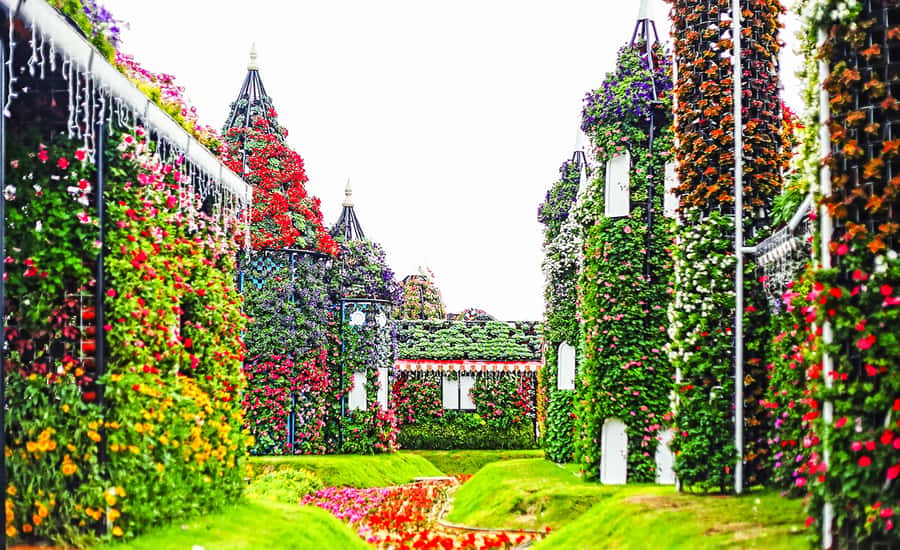 Miracle Flora & Fauna Marvels at Miracle Garden - The guide and transport experience