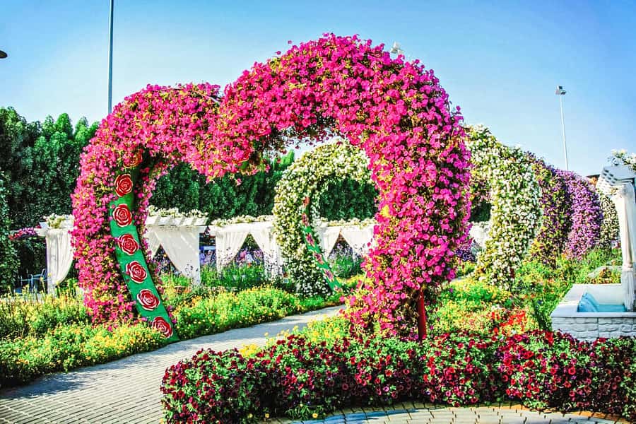 Miracle Flora & Fauna Marvels at Miracle Garden - Inside the nine domes at Butterfly Garden