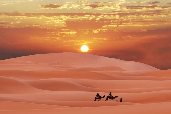 Morning Red Dunes Safari: Camel Ride & Sandboarding Adventure - Who Will Enjoy This Four-Hour Format?