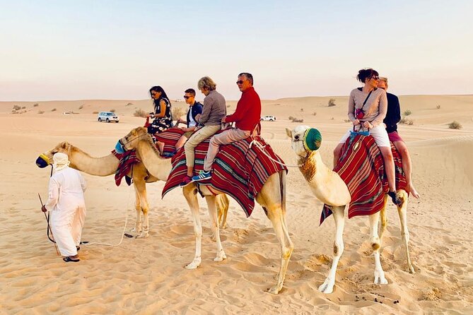 Morning Red Dunes Safari: Camel Ride & Sandboarding Adventure - Timing, Cancellation, and Small Practical Tips