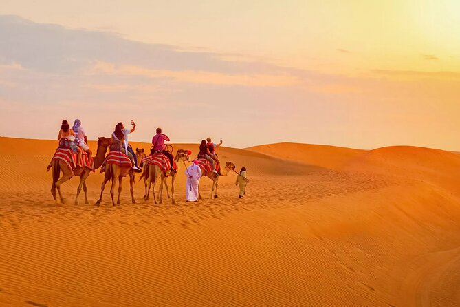 Morning Thrill: Exciting Desert Safari Adventure Camel Ride Dubai - A camel ride adds a slower pace