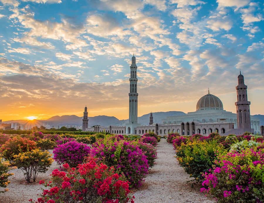 Muscat: Budget Friendly City Tour - Royal Opera House: beautiful from the outside