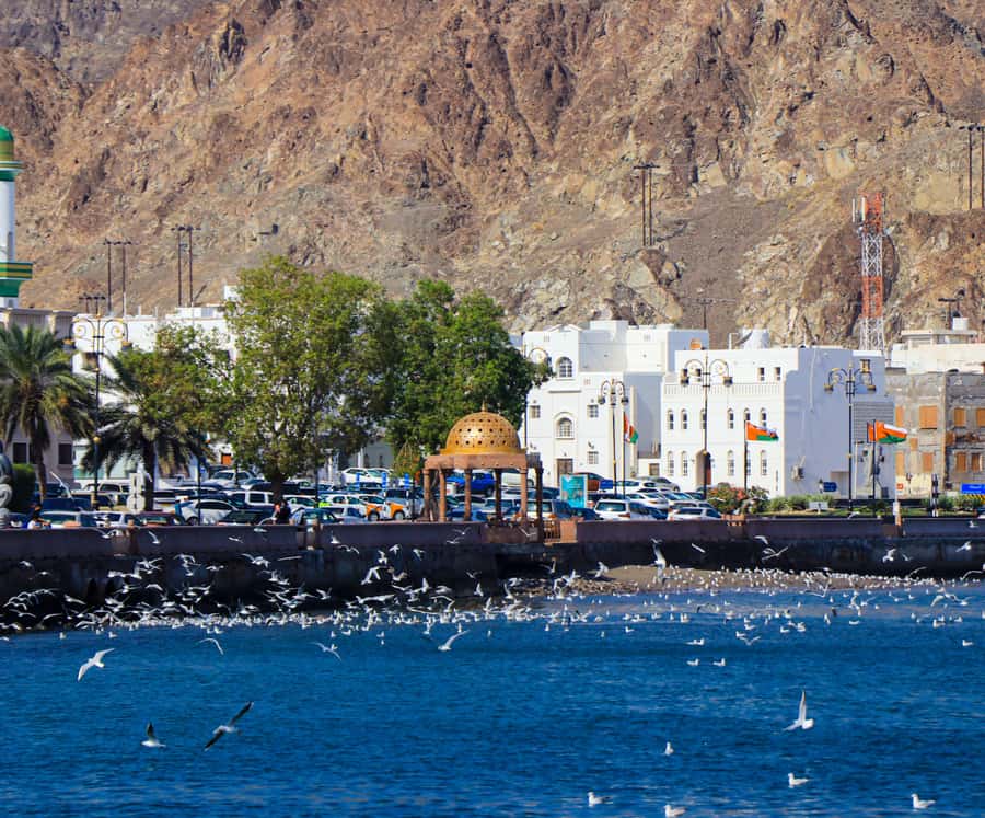 Muscat: Budget Friendly City Tour - Muttrah Souq: the most hands-on part of the route