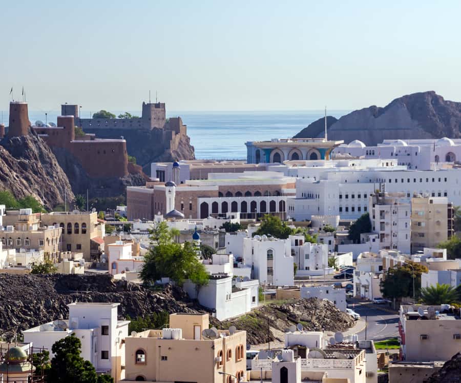 Muscat: Budget Friendly City Tour - The guides make the difference