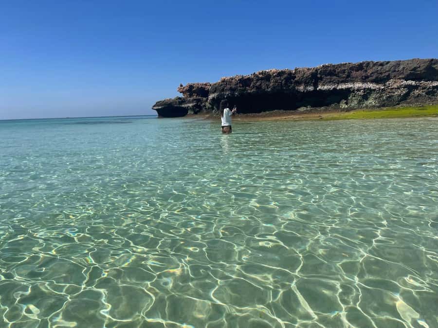 Muscat: Daymaniat Islands Snorkeling Trip with Brunch - Why the Daymaniyat Islands are worth your morning