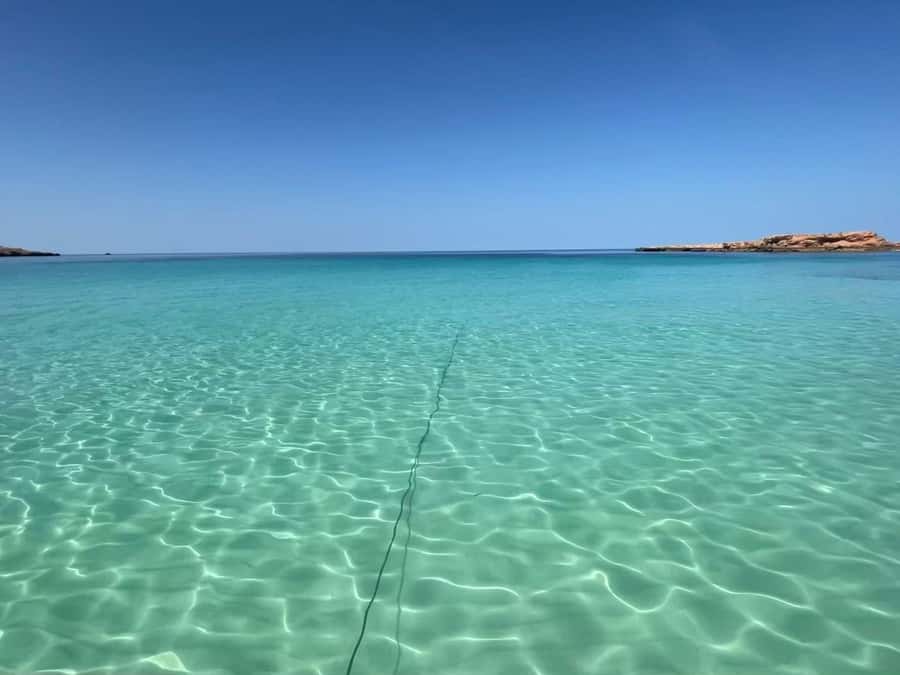 Muscat: Daymaniat Islands Snorkeling Trip with Brunch - Morning or afternoon departure?