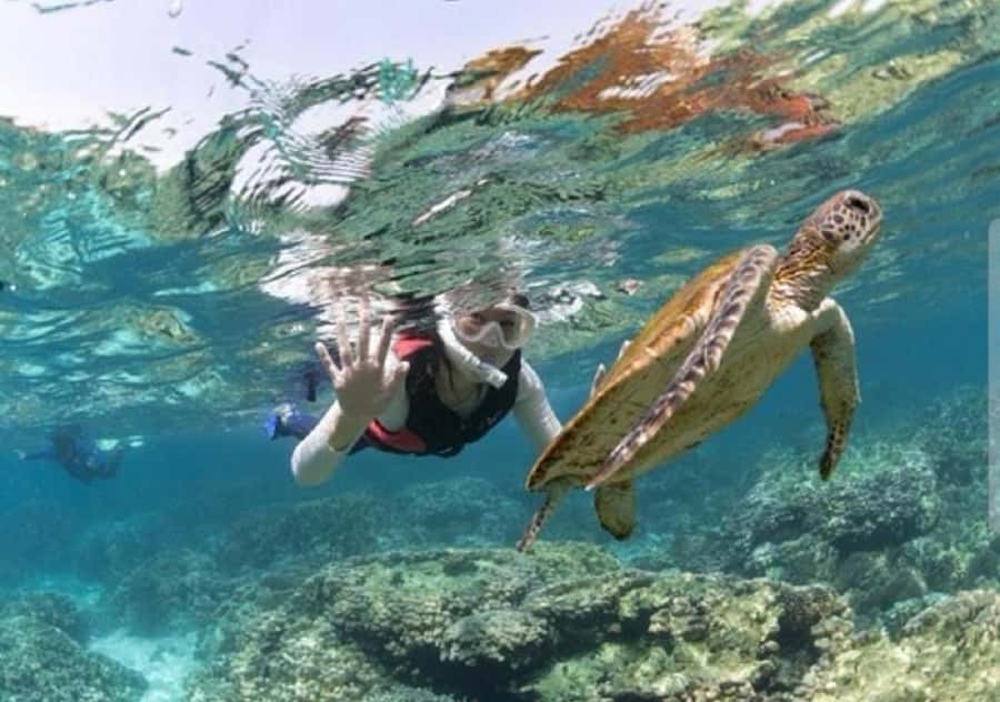 Muscat: Daymaniyat Islands Snorkeling Trip with BBQ Lunch - Why Daymaniyat Islands are worth your day