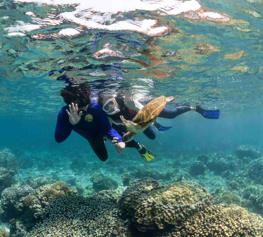 Muscat: Daymaniyat Islands Snorkeling Trip with BBQ Lunch - What you may see beneath the surface