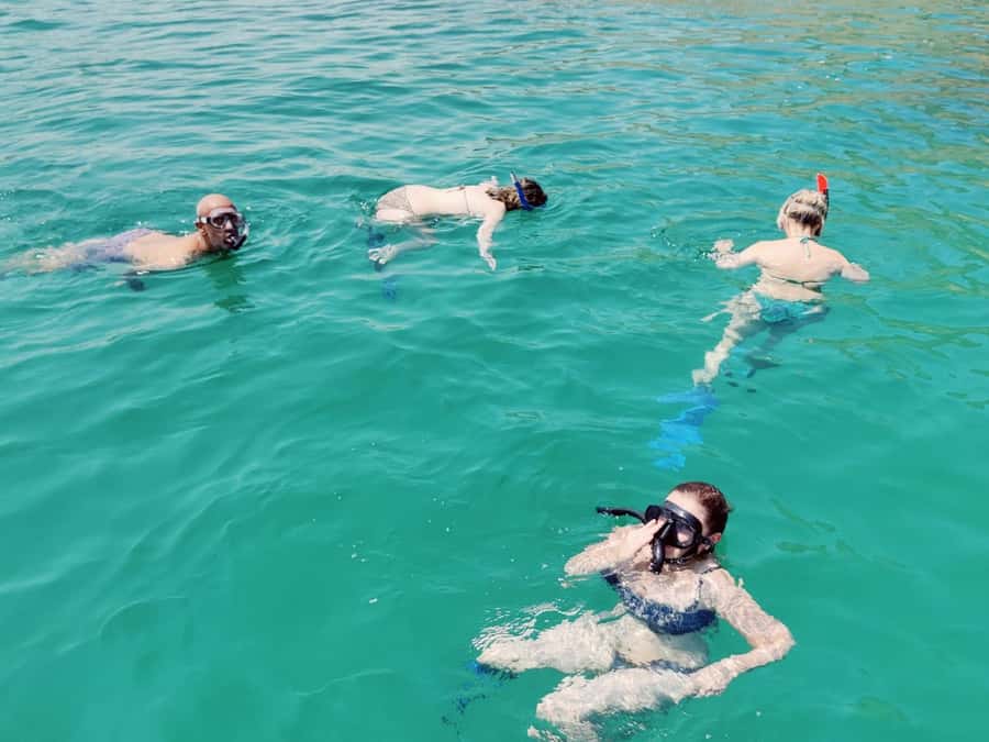 Muscat: Dolphin Watch & Snorkel Excursion - My verdict: book it for variety, not certainty