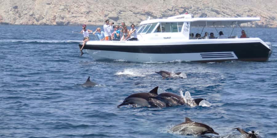Muscat: Dolphin Watching Boat Tour - The dolphin search and the best viewing moments