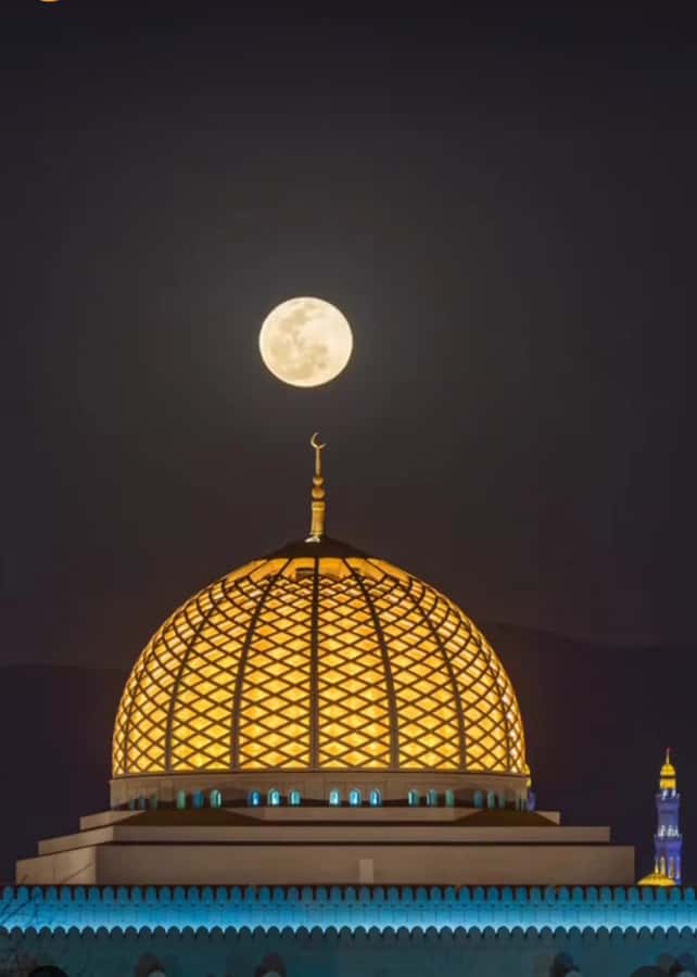 Muscat: Guided Landmarks Tour - Al Alam Palace and the Portuguese forts