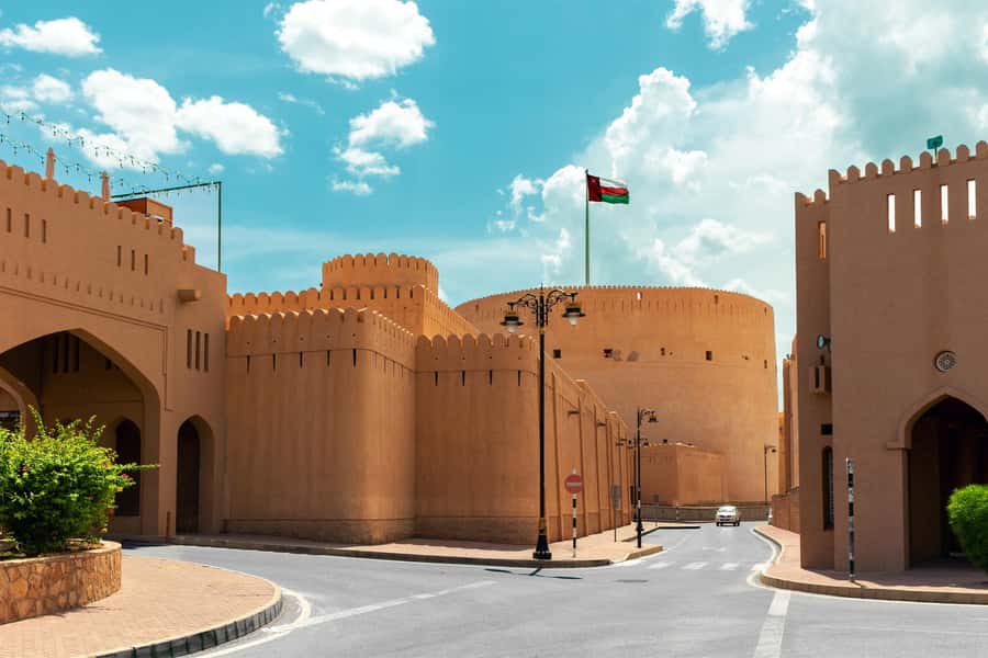 Muscat: Half-Day Sightseeing Essentials Tour and Audio Guide - The fish market: a brief look at daily Muscat