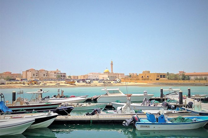 North Qatar Half-Day Tour: Al Zubarah, Purple Island & Mangroves - The guide matters more than the route