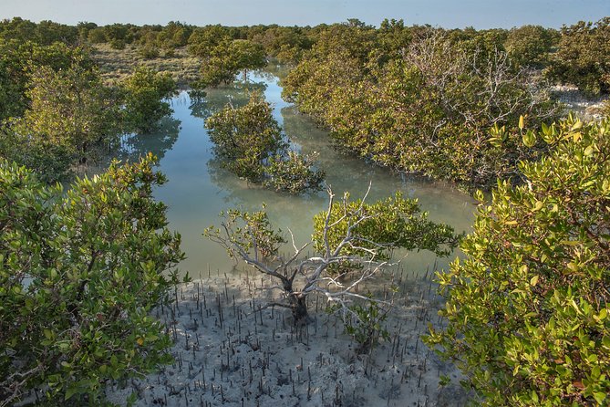 North Qatar Half-Day Tour: Al Zubarah, Purple Island & Mangroves - How much driving should you expect?