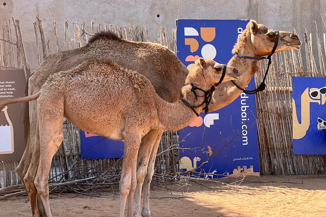 Old Dubai tour: Local Market, Tasting, Dubai creek with Abra ride - Dubai Museum and Al Fahidi Fort need confirmation