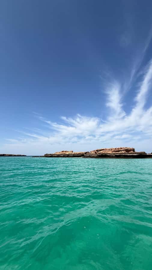 Oman: Daymaniyat Islands Visit and Snorkeling - First snorkeling session near Daymaniyat