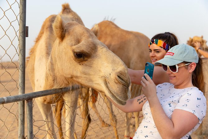 Premium Dubai Desert Safari with BBQ Dinner in the Red Dunes - Who should book this safari