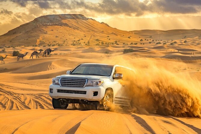 Private Evening Desert Safari with BBQ Dinner Dubai - Is $412 good value for six people?