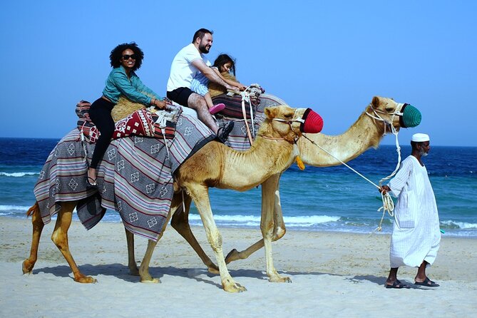 Private Full Day Desert Safari - Swimming in the Gulf