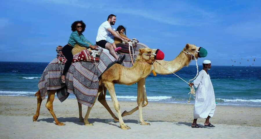 Private Full-Day Desert Tour - Why the Inland Sea makes this desert trip special