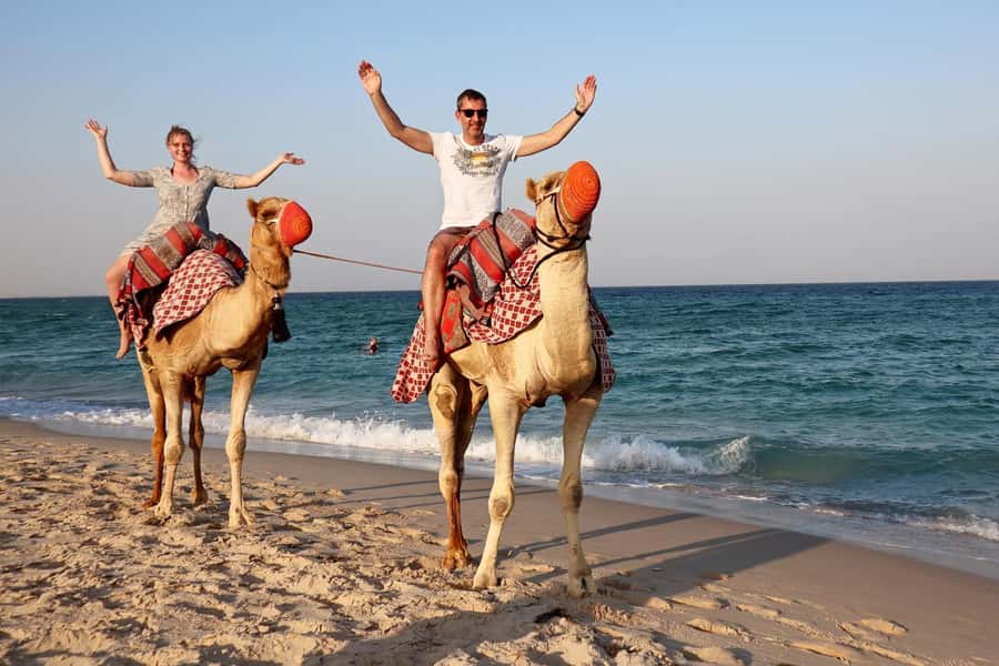 Private Half-Day Desert Safari Tour+Camel Ride - Who will enjoy this safari most