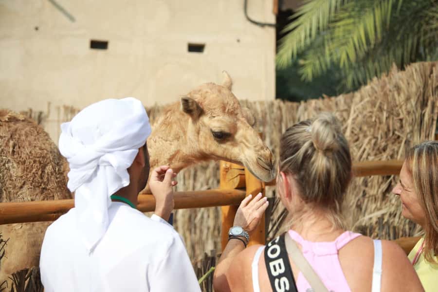 Private Walking Tour in Dubai / Old Dubai Tour - Al Fahidi: Dubai before the towers