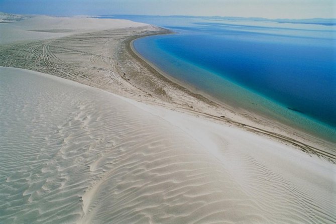 Qatar Gold Dune Safari, Dune Bashing,Camel Ride,Sand Boarding,Inland Sea Desert - A half-day escape from Doha
