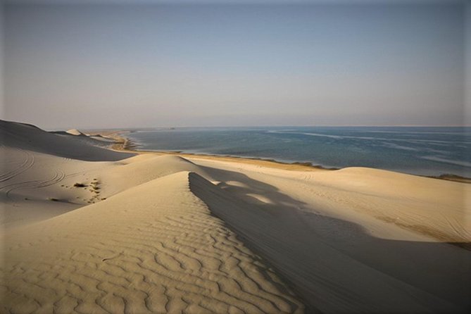 Qatar Gold Dune Safari, Dune Bashing,Camel Ride,Sand Boarding,Inland Sea Desert - Is $44.59 a good value?