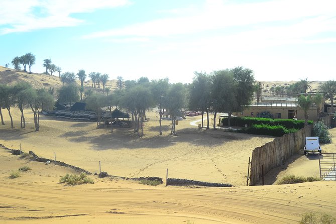 Ras Al Khaimah: Afternoon Desert Safari and BBQ Dinner - From Ras Al Khaimah hotels to the open desert