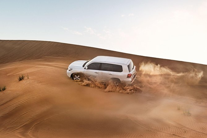 Red Dune Desert Safari with BBQ Dinner, Sand Boarding Dance Shows - The red dune drive and sandboarding