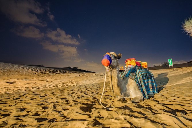 Red Dunes Desert Safari with BBQ Dinner - Key points to know before you book