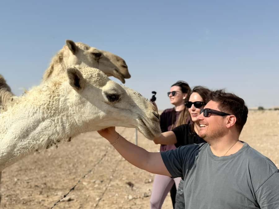Riyadh: Edge Of The World, camels &Stargazing with 4x4 - Dinner by the fire, with one stargazing catch