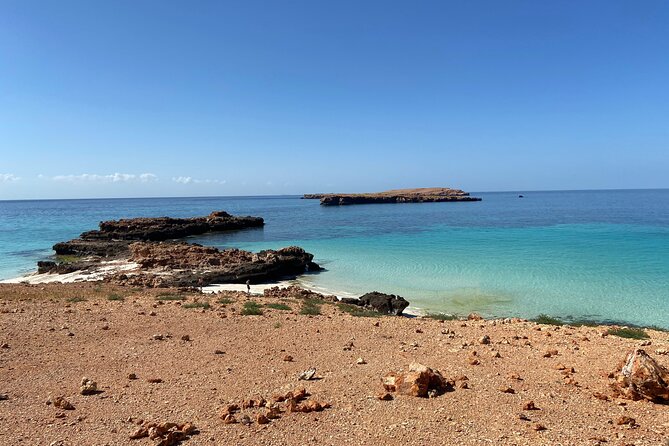 Snorkeling at Dimaniyat Islands and Dolphin Watching - Time on the beach and underwater