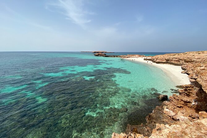 Snorkeling at Dimaniyat Islands and Dolphin Watching - How the guide affects your morning