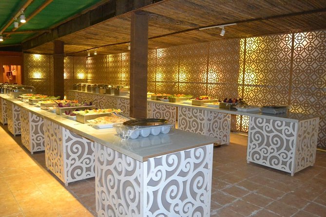 Standard Desert Safari, camel ride, BBQ Dinner, Belly Dance Show, Pick & Drop - The short camel ride and what to expect