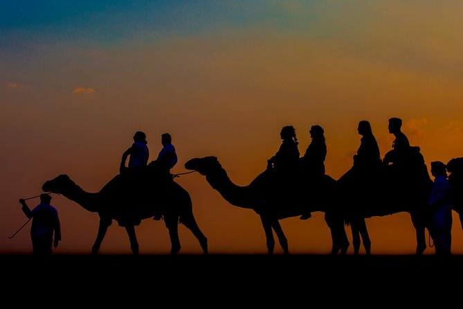 Sunset Camel Trekking with Falcon Show & VIP BBQ Dinner - A calm camel ride before the camp begins
