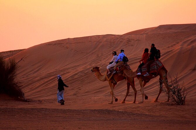 Sunset Evening Safari,Camel ride,live shows and BBQ Dinner with No Hidden Charge - What the 4x4 ride feels like