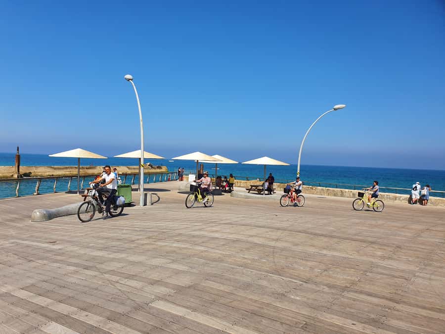 Tel Aviv 3-Hour Easy Bike Tour - Bikes, fitness, and who should book