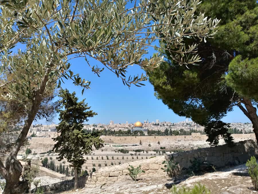 Tel Aviv: Jerusalem, Bethlehem & Dead Sea - Bethlehem and the Church of the Nativity