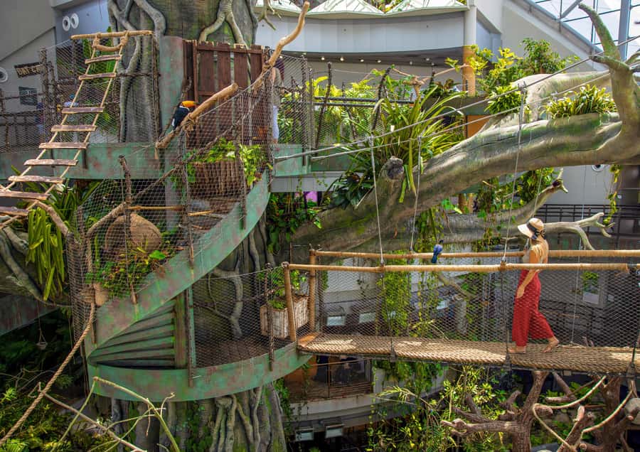 The Green Planet - Dubai's Unique Indoor Rainforest - Key points to know before you go