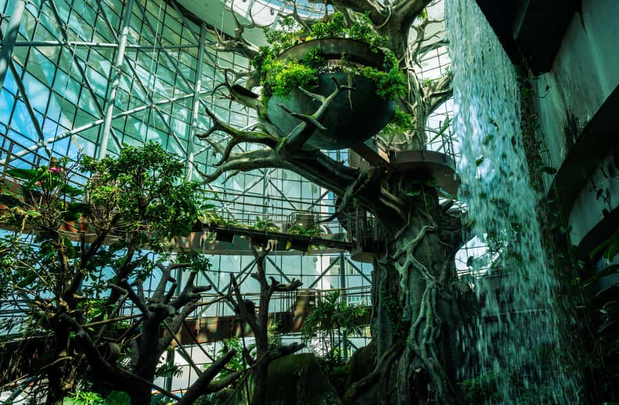 The Green Planet - Dubai's Unique Indoor Rainforest - What the staff add to the visit
