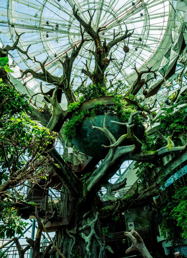 The Green Planet - Dubai's Unique Indoor Rainforest - Is the $42 admission good value?