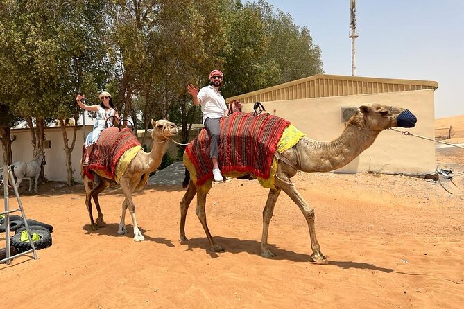 Vip Desert Safari Dubai with Camel Riding BBQ Dinner & Live Shows - Is this Dubai desert safari good value?
